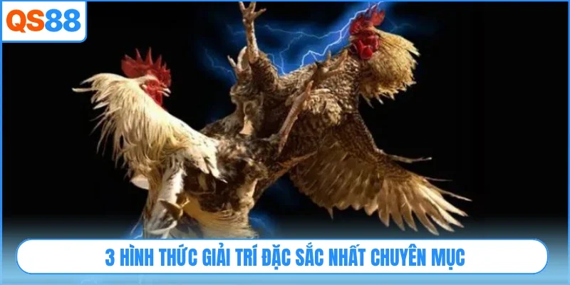 3 hình thức giải trí đặc sắc nhất chuyên mục