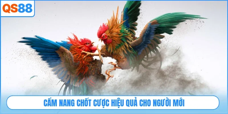 Cẩm nang chốt cược hiệu quả cho người mới