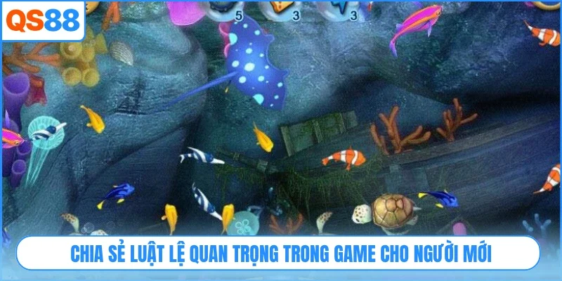 Chia sẻ luật lệ quan trọng trong game cho người mới