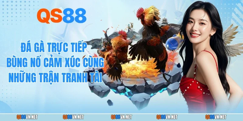 Đá Gà Trực Tiếp - Bùng Nổ Cảm Xúc Cùng Những Trận Tranh Tài
