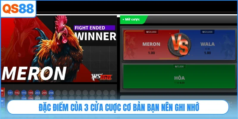 Đặc điểm của 3 cửa cuợc cơ bản bạn nên ghi nhớ