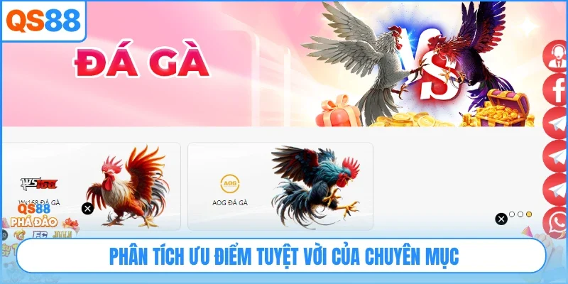 Phân tích ưu điểm tuyệt vời của chuyên mục