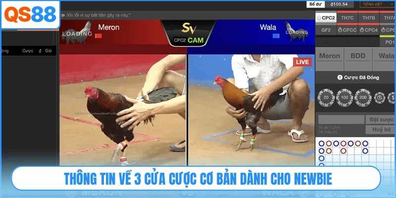 Thông tin về 3 cửa cược cơ bản dành cho newbie