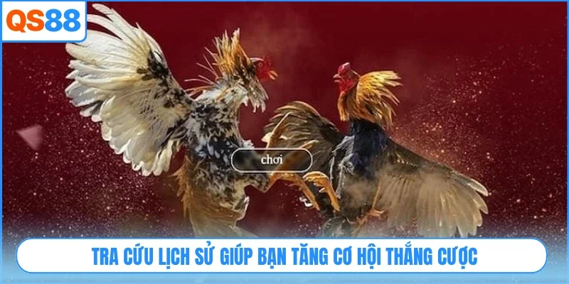 Tra cứu lịch sử giúp bạn tăng cơ hội thắng cược